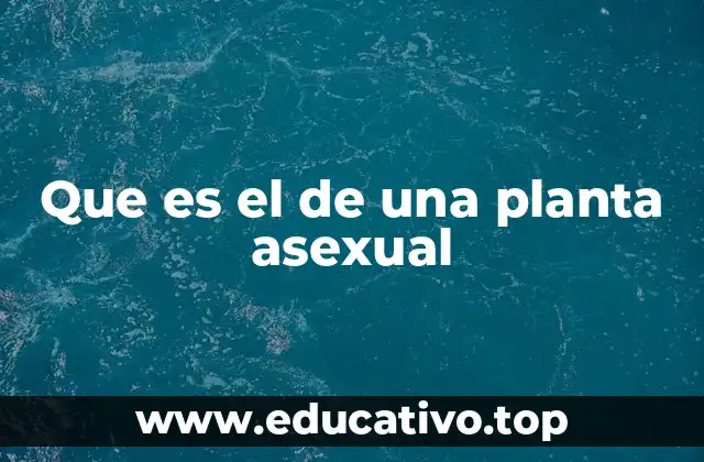 Que es el de una planta asexual