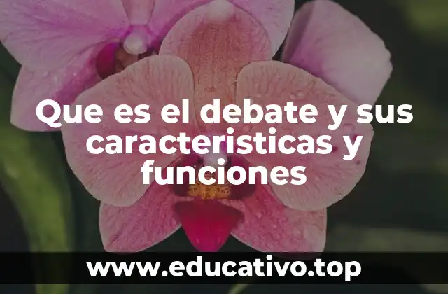 Que es el debate y sus caracteristicas y funciones