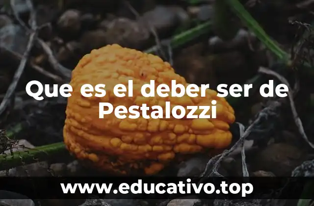 Que es el deber ser de Pestalozzi