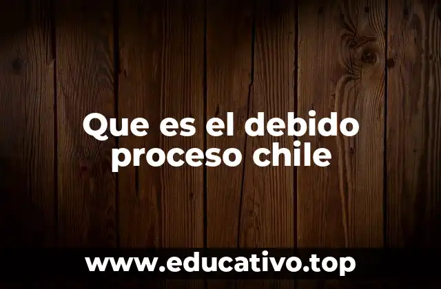 Que es el debido proceso chile
