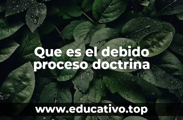 Que es el debido proceso doctrina