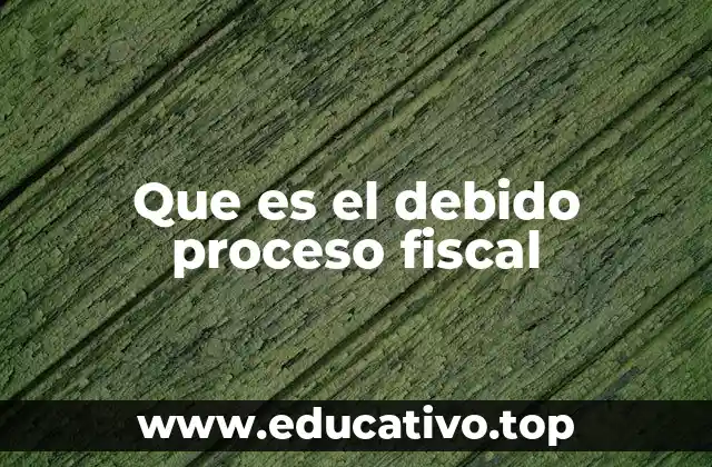 Que es el debido proceso fiscal