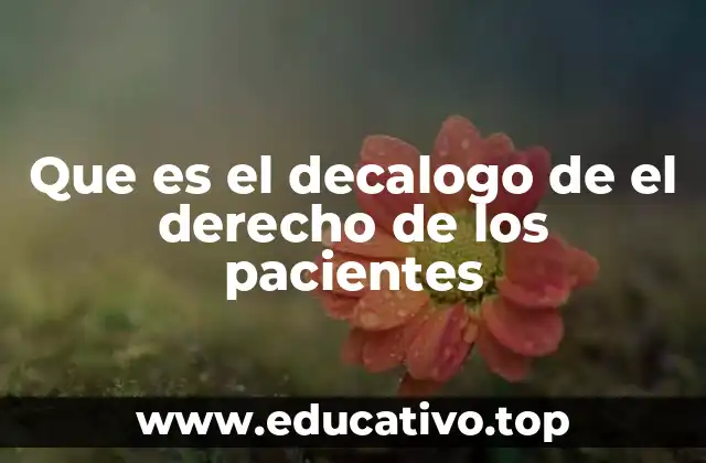 Que es el decalogo de el derecho de los pacientes