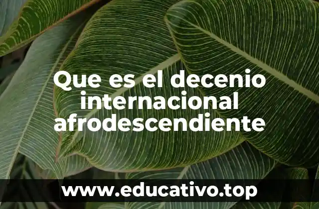 Que es el decenio internacional afrodescendiente