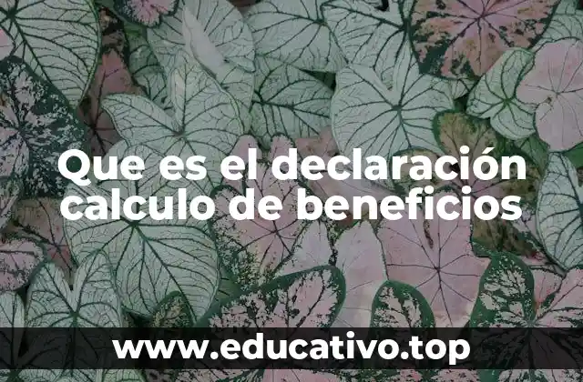 Que es el declaración calculo de beneficios