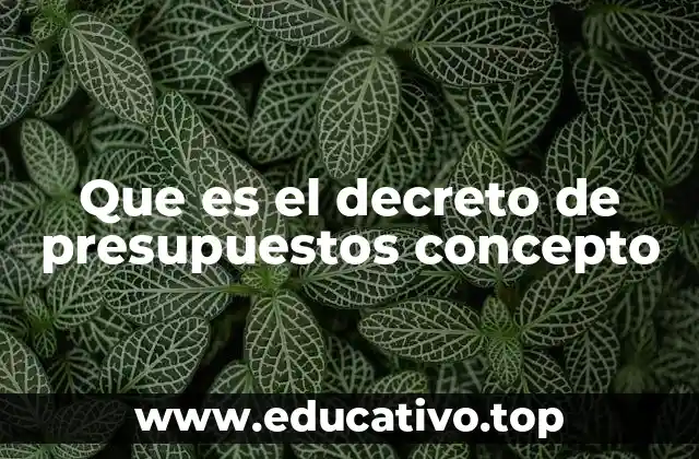 Que es el decreto de presupuestos concepto