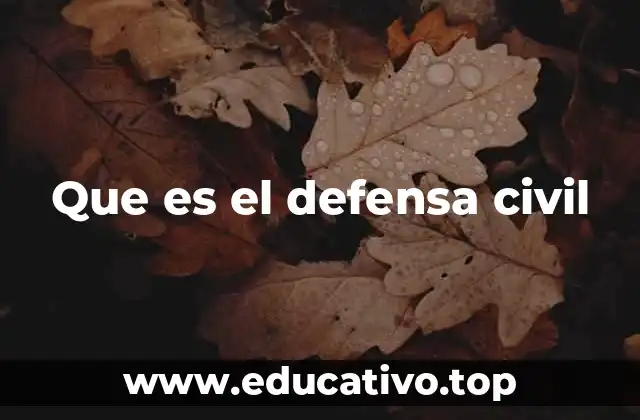 Que es el defensa civil