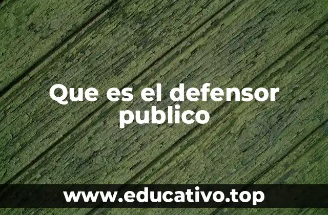 Que es el defensor publico