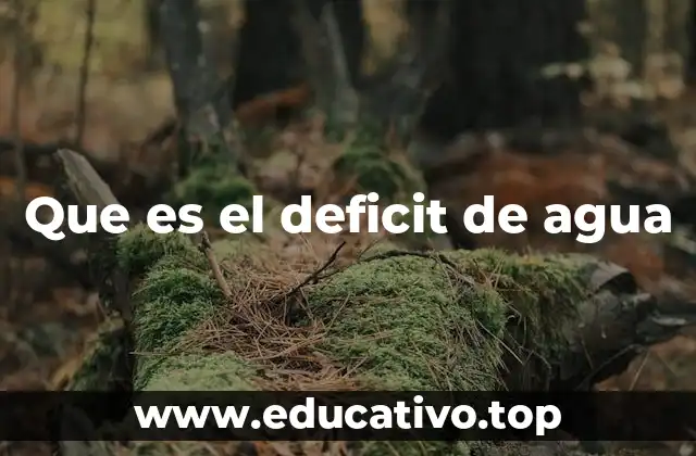 Que es el deficit de agua
