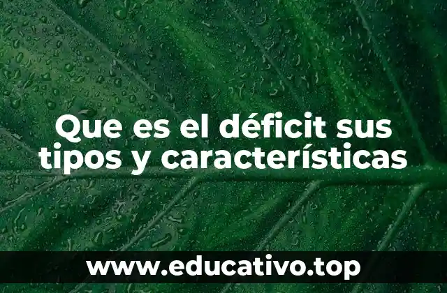 Que es el déficit sus tipos y características