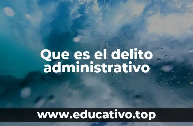 La importancia de las infracciones administrativas en el sistema legal