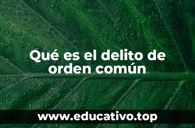 Qué es el delito de orden común