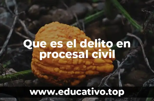 Que es el delito en procesal civil
