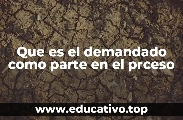 Que es el demandado como parte en el prceso