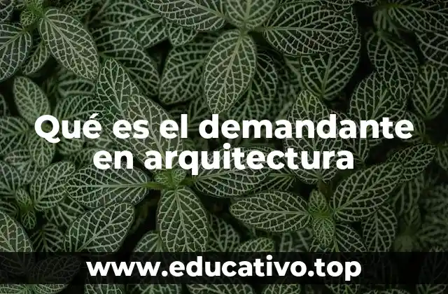 Qué es el demandante en arquitectura