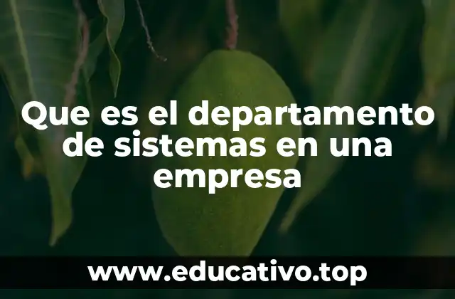 Que es el departamento de sistemas en una empresa