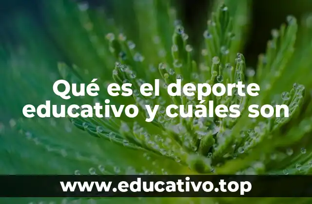 Qué es el deporte educativo y cuáles son