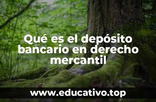 Qué es el depósito bancario en derecho mercantil