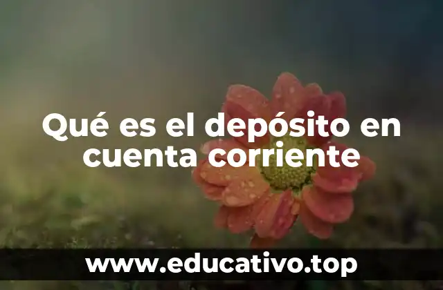Qué es el depósito en cuenta corriente
