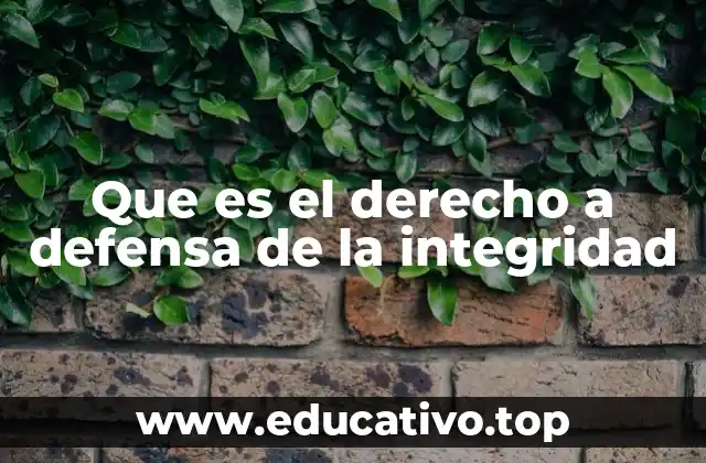 Que es el derecho a defensa de la integridad