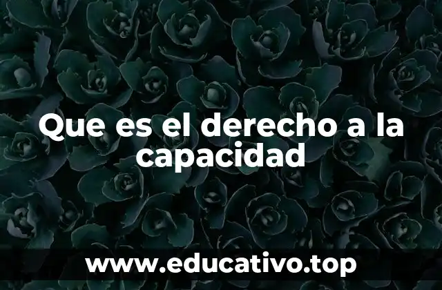 Que es el derecho a la capacidad