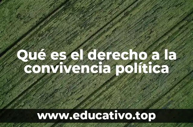 Qué es el derecho a la convivencia política