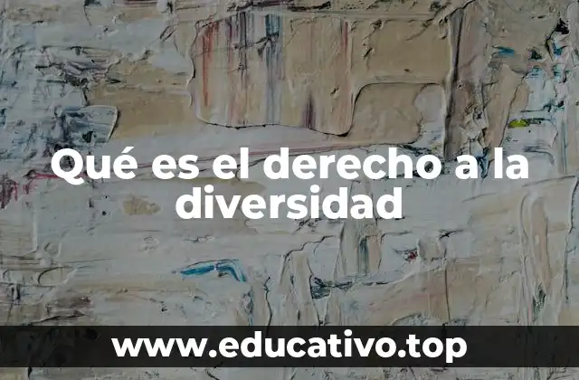 Qué es el derecho a la diversidad