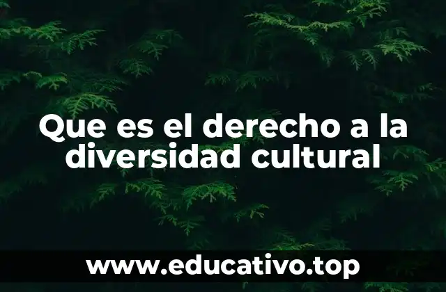 Que es el derecho a la diversidad cultural