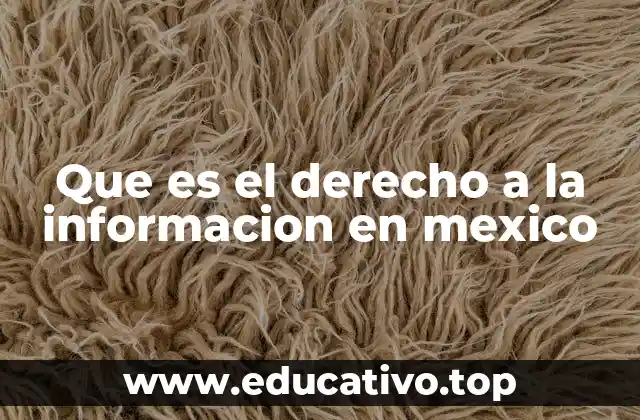 Que es el derecho a la informacion en mexico