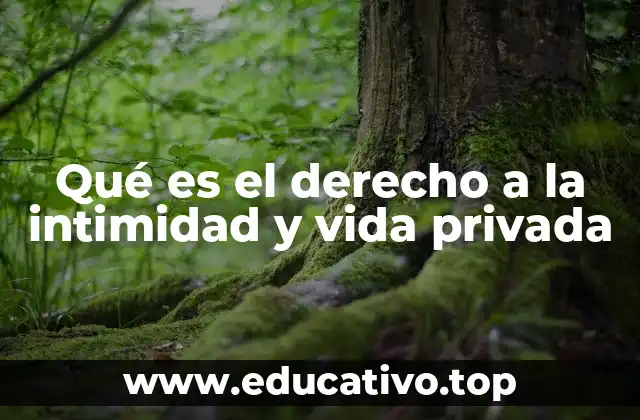 Qué es el derecho a la intimidad y vida privada