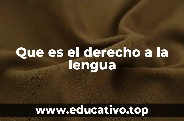 Que es el derecho a la lengua