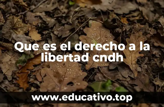 El derecho a la libertad como base de la justicia y el estado de derecho