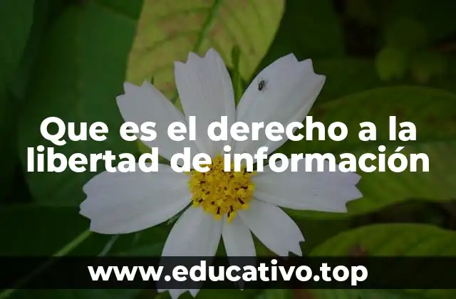 Que es el derecho a la libertad de información