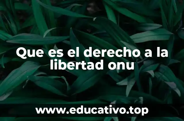 Que es el derecho a la libertad onu