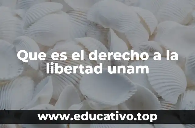 Que es el derecho a la libertad unam