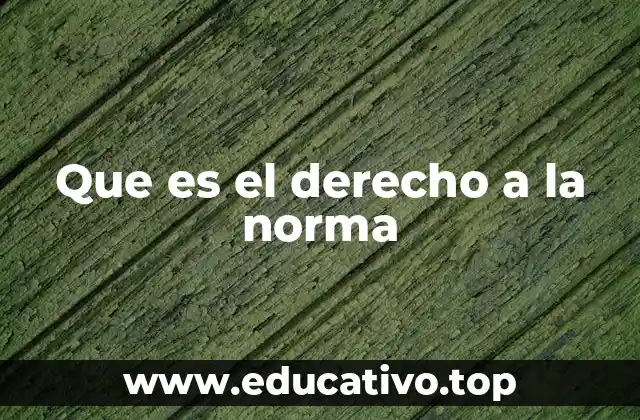 Que es el derecho a la norma