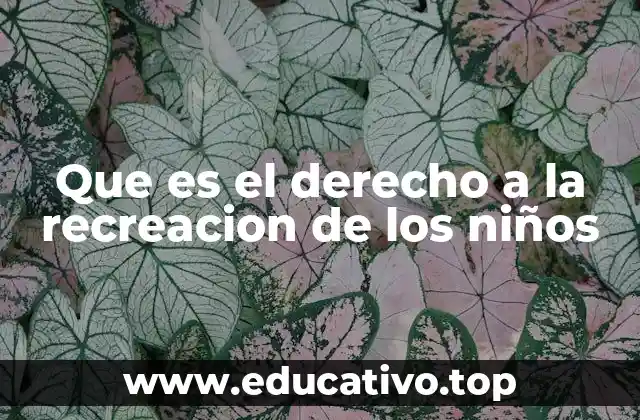 Que es el derecho a la recreacion de los niños