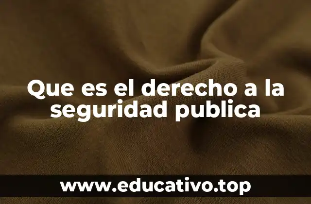Que es el derecho a la seguridad publica