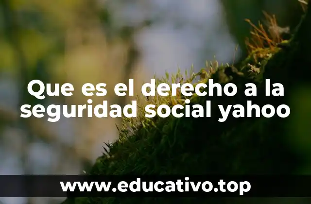 Que es el derecho a la seguridad social yahoo