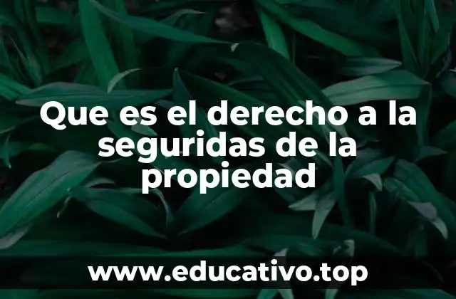 Que es el derecho a la seguridas de la propiedad
