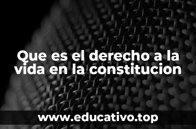 Que es el derecho a la vida en la constitucion