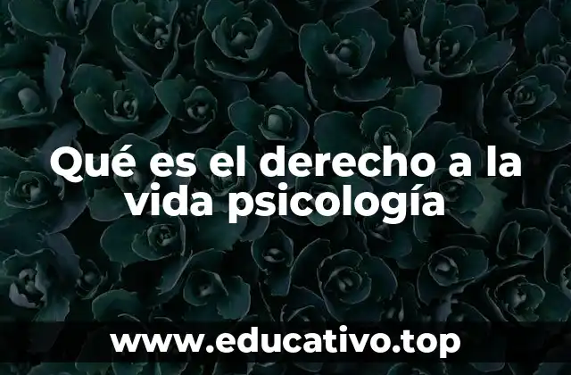 La importancia del derecho a la vida en el desarrollo psicológico