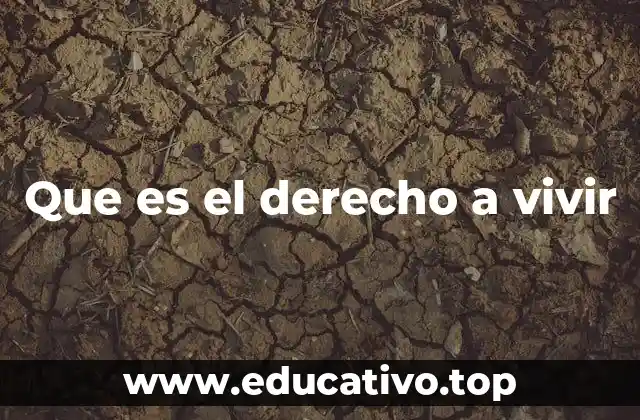 Que es el derecho a vivir