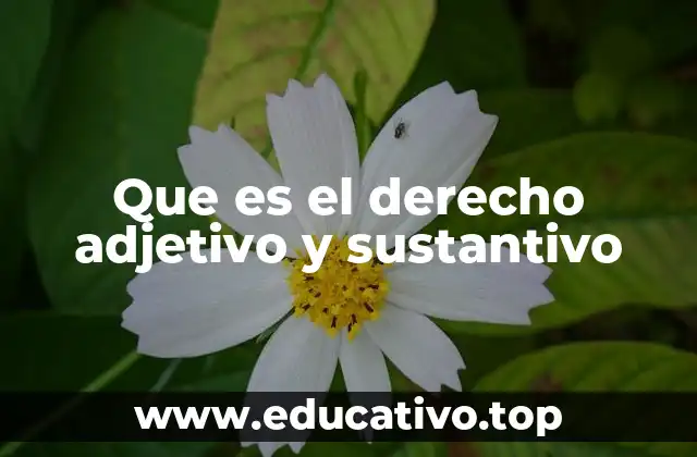 Que es el derecho adjetivo y sustantivo
