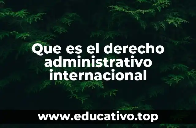 Que es el derecho administrativo internacional