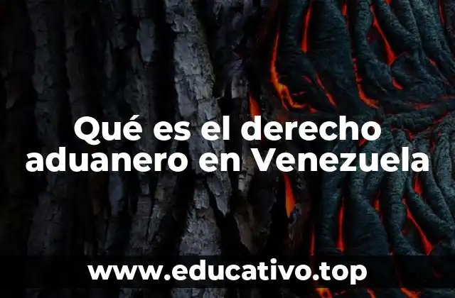 Qué es el derecho aduanero en Venezuela