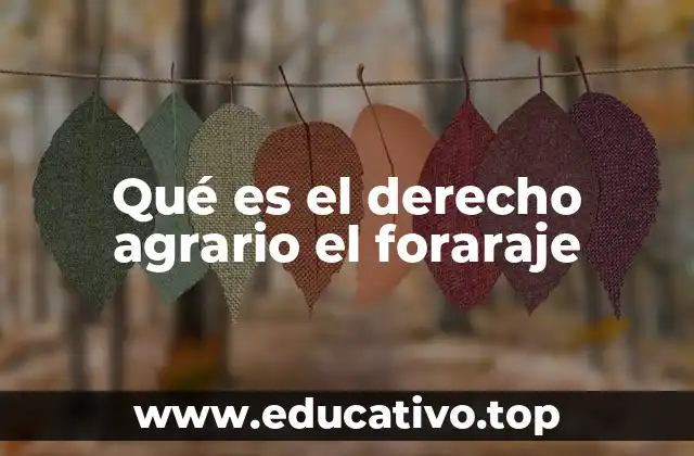 Qué es el derecho agrario el foraraje