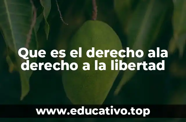 La importancia del derecho a la libertad en la sociedad moderna