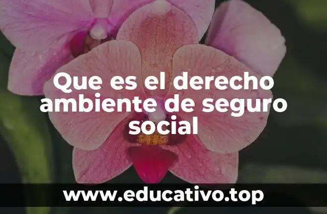 Que es el derecho ambiente de seguro social