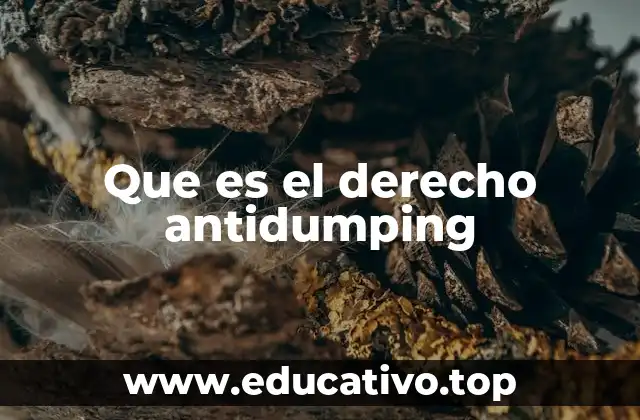 Que es el derecho antidumping